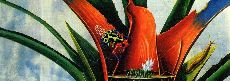 Illustration featuring frogs