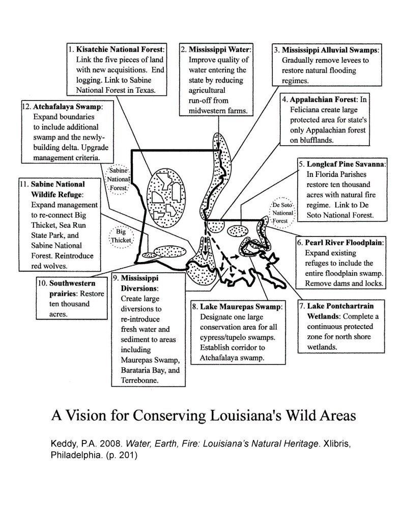 Map showing 12 key areas in Louisiana for ecological conservation.