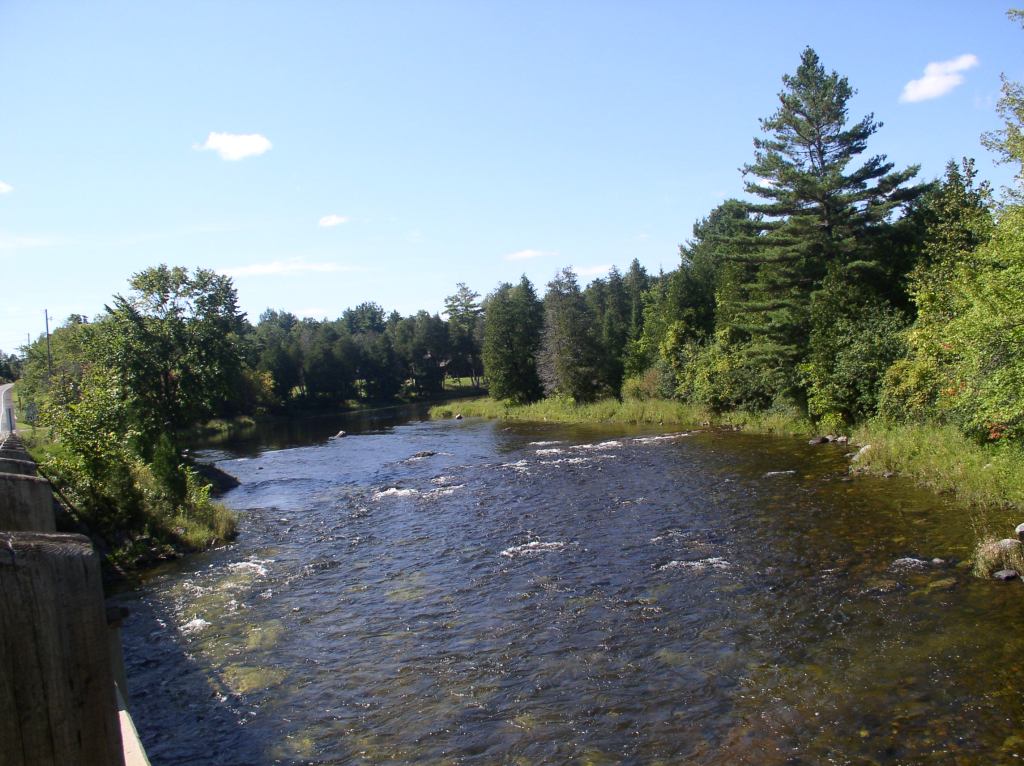 Mississippi River at Playfairville looking upstream (photo by Cathy Keddy)