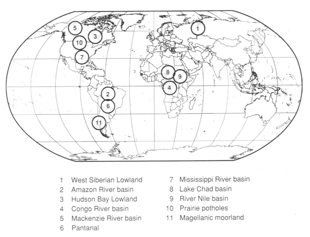 World's largest wetlands map of 11 key areas